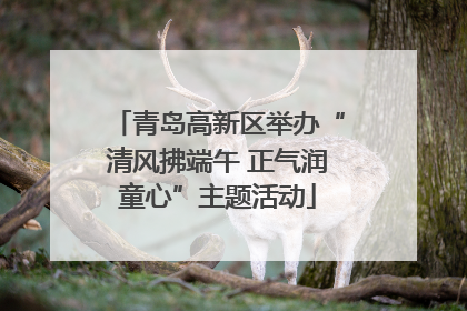 青岛高新区举办“清风拂端午 正气润童心”主题活动